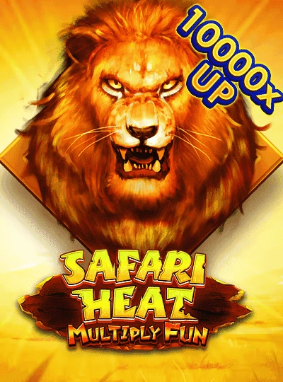 Cricket betting match card cover